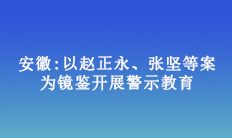 安徽:以趙正永、張堅(jiān)等案為鏡鑒開(kāi)展警示教育