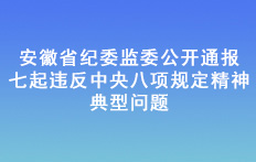 安徽省紀(jì)委監(jiān)委公開通報(bào)七起違反中央八項(xiàng)規(guī)定精神典型問(wèn)題